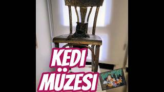 Kedi Müzesi #eskişehir #tavsiyeler