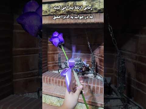 رشد رشد شخصیت سکوت پاسخ جواب احمق