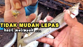 Cara mudah memasang Undur-undur Laut || Umpan mancing Pasiran