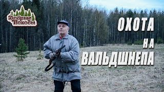 ОХОТА НА ВАЛЬДШНЕПА. ТРОФЕЙ ВЗЯТ. ОХОТА 2019. Добрые походы.