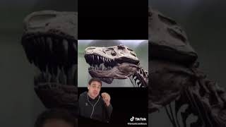 The Bizarre life of Nickolas Cage TikTok: broadcastboys Wealth