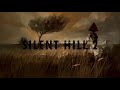 Silent Hill 2 - Promise Classic Guitar &amp; Cajon cover