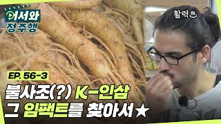 🔥불사조 인삼 원정대🔥 K-인삼 그 임팩트()를 찾아서★ l #어서와정주행​ l #MBCevery1 l EP.56-3
