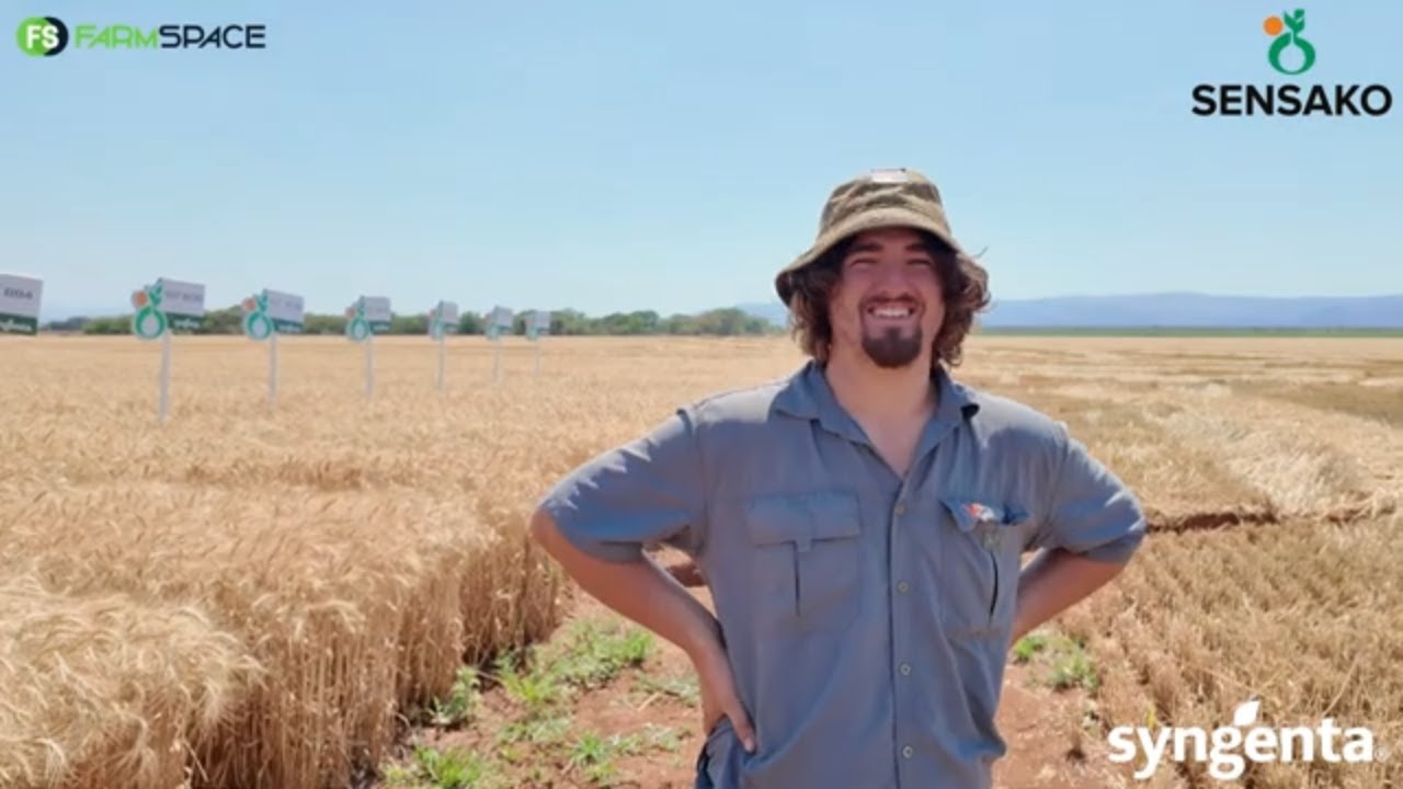 Hoe doen Sensako se SST8205 in die warm wêreld? Andries vertel meer.