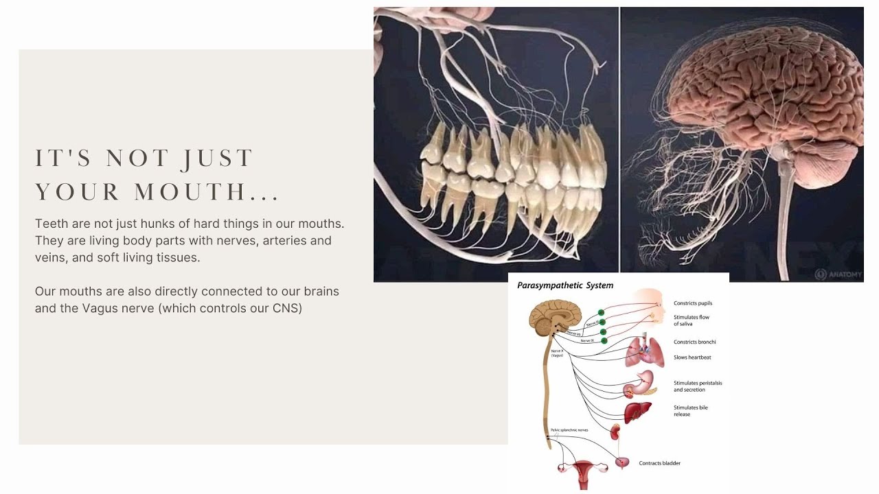 Holistic Oral Health - YouTube