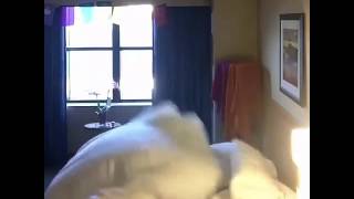 hot videos