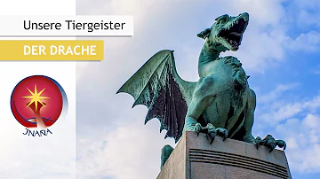 Was hat Drache für eine Bedeutung?