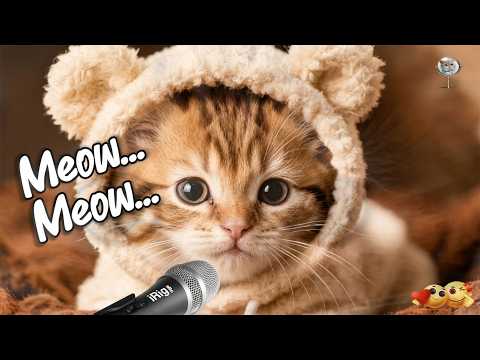 Kucing Comel Lantunkan Sholawat Maulana Ya Sami' Du'ana (Bikin Adem!)