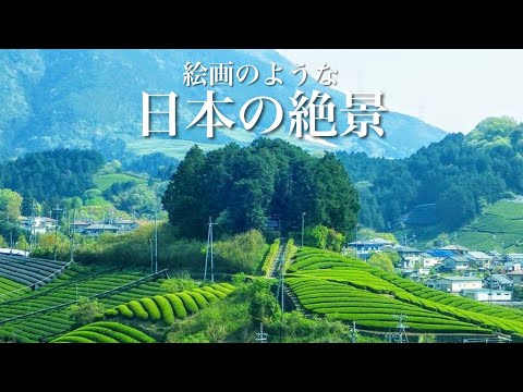 【本当は教えたくない】幻想的な京都の穴場 / 日本で最も美しい村の絶景 / 京都の原風景、和束町の茶畑 /  死ぬまでに行きたい日本の絶景