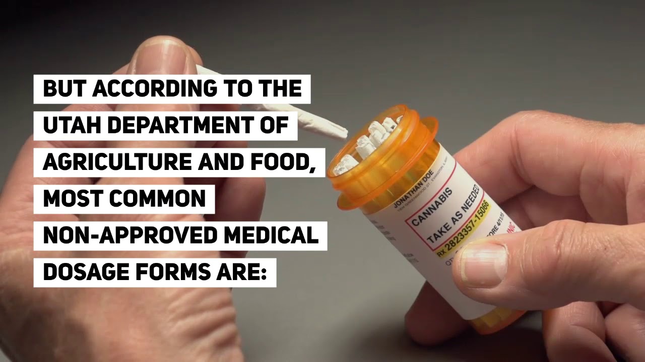 CBD Hemp Flower Utah Laws and Regulations + Where To Buy YouTube