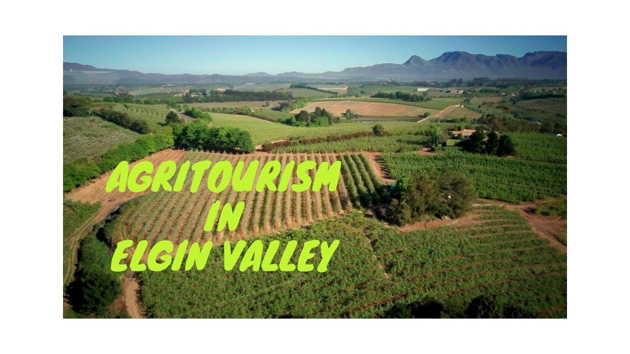 Cheverells Farm - Agritourism in the Elgin Valley