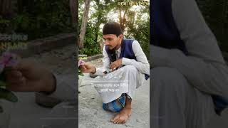 মন মতন নশদ