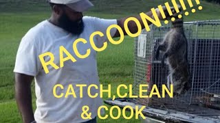 RACCOON | CATCH, CLEAN, AND COOK - 1ST ATTEMPT