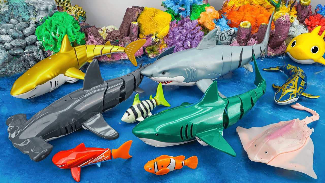 [🦈toy asmr🦈] Nemo Fish & Manta Ray & Hammerhead Shark & Shark Toy Collection | Satisfying Unboxing