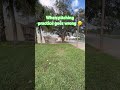When pitching practice goes wrong #baseball #baseballpitching #baseballpractice