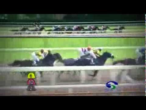 2013年 エルムステークス / フリートストリート