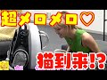 タロー社長が拾ってきた子猫にあみかちゃんメロメロ♡【フォーエイト切り抜き集】