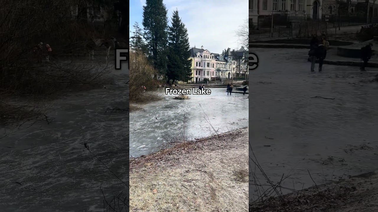 Bro said come see - Frozen Lake 