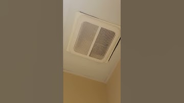 Thumbnail of Music, and UNKNOWN BEING BETTER THAN COOK! (Unknown fan. Above is a Cook grille!)