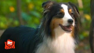 Strays 2023 - Maggie Finds The Scent Scene Movieclips