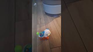 Vtech Shake and Sound Learning Pup