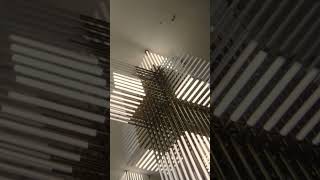 An Oasis of Light and Sound