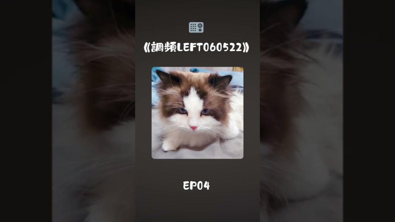 【TOP登陸少年 左航】260121 左航微博更新💙"📻《調頻LEFT060522》EP04"