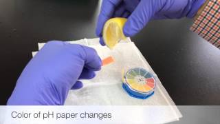 Ph Of Lemon