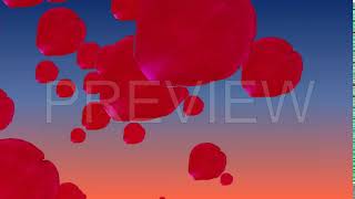 Falling Rose Petals Transition