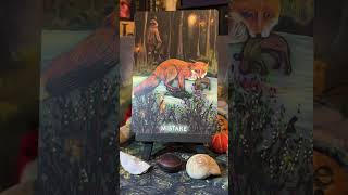 ASMR Oracle Card of the Day Pull: The Liminal Forest Oracle Deck.