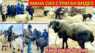 ХОРАЗМ ҚЎШКЎПИР ҚЎЙ ҚЎЧҚОР БОЗОРИ. 1-февраль 2024 г.