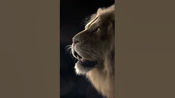 Social Anxiety & Insecurity