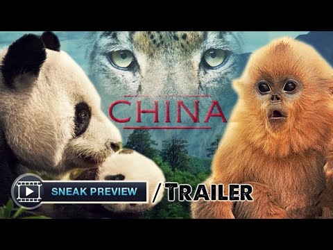 Born In China Movie Clip Official Earth Day Trailer 2017 Disneynature Movie HD 