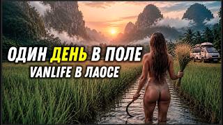 #82 Лаос. 24 часа на ферме: секреты местной жизни в Луангпрабанге