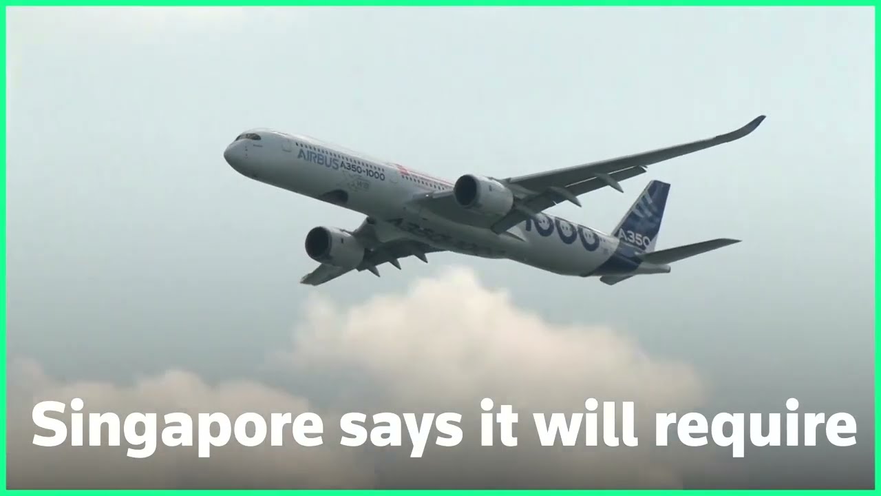 Singapore's green jet fuel mandate faces challenges | REUTERS