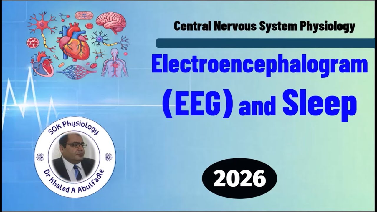 Electroencephalogram (EEG) and Sleep Physiology (1-2026) by Dr Khaled A Abulfadle