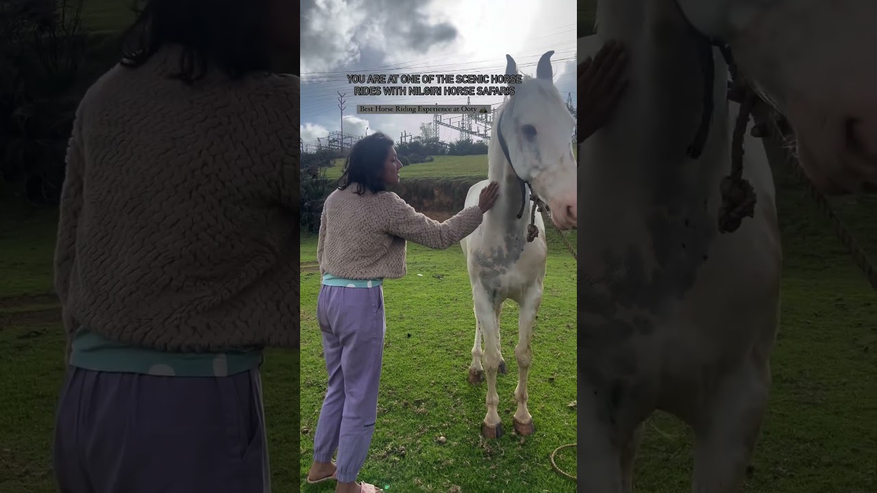 Horse Riding Guided Tours in Ooty | Ooty Horse Tours | Best Experience 