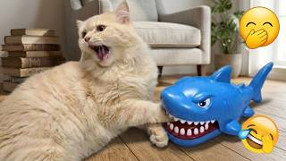 Try NOT To Laugh at These Crazy Cat Moments 😂 Funniest Cats & Dogs