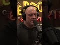 Joe Rogan Loves Magic Mind mp3