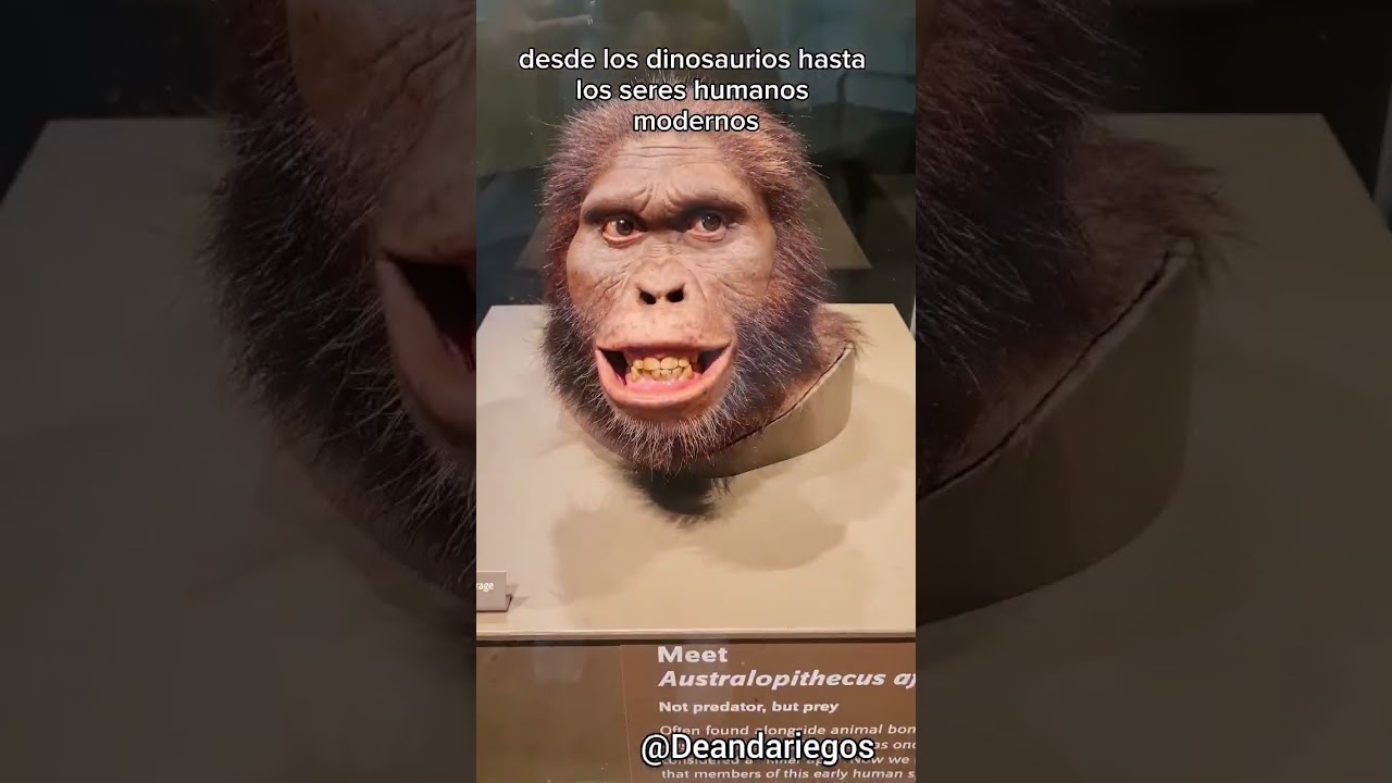 Museo Nacional de Historia Natural de Washington 