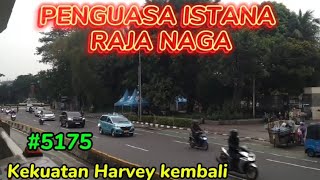 MENGEJUTKAN SELURUH PENONTON | HARVEY PENGUASA ISTANA NAGA #5175