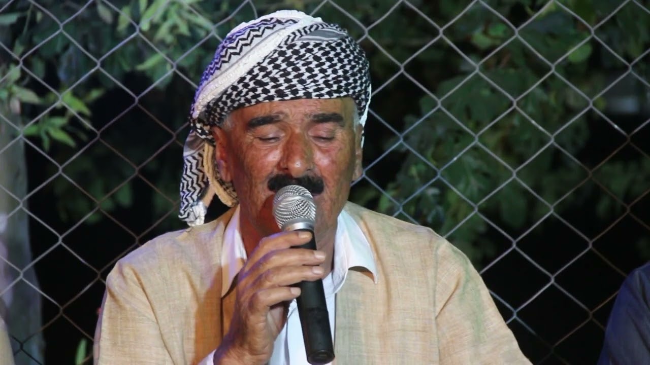 محی دین شیروانی