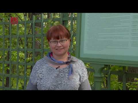 «В душистой тиши между царственных лип…» (Летний сад сквозь столетия)