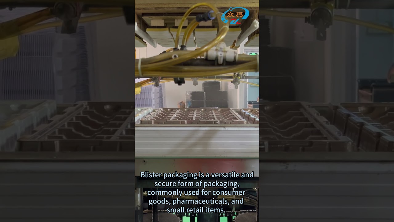 Inside a Blister Packaging Factory – How Millions Are Made Daily!