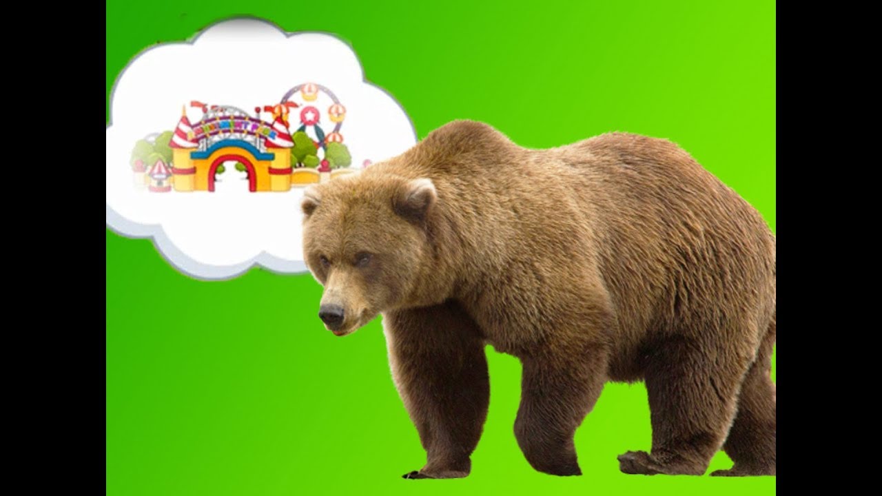 Fun Animal Kid Game Craze | Kid Toy | Kid Learn To Fix Car | Attractions For Kids