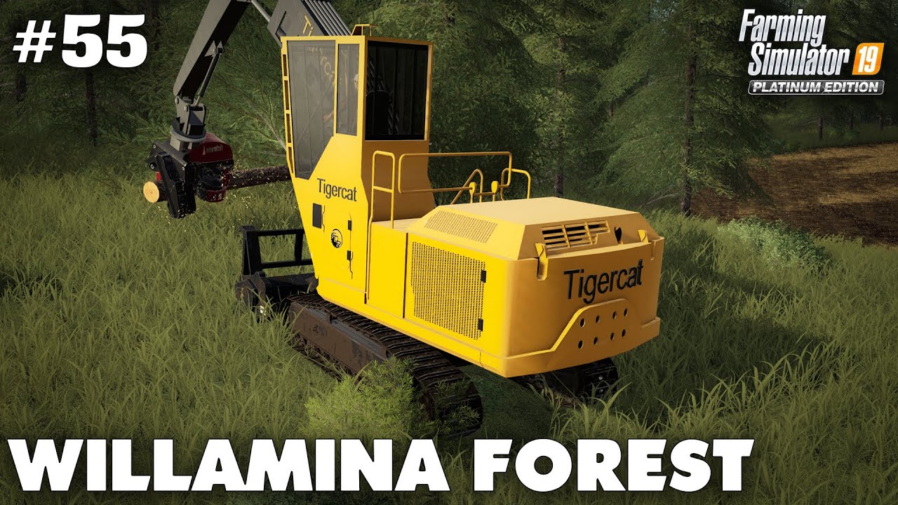 Willamina Forest 55 Clearing Trees & Extending Fields, Farming