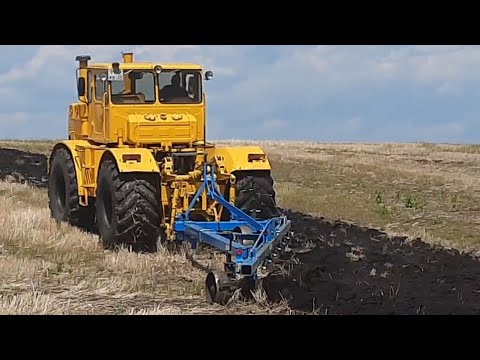 Видео: Вспашка паров, трактор кировец К-700А 17 июня 2023 г.