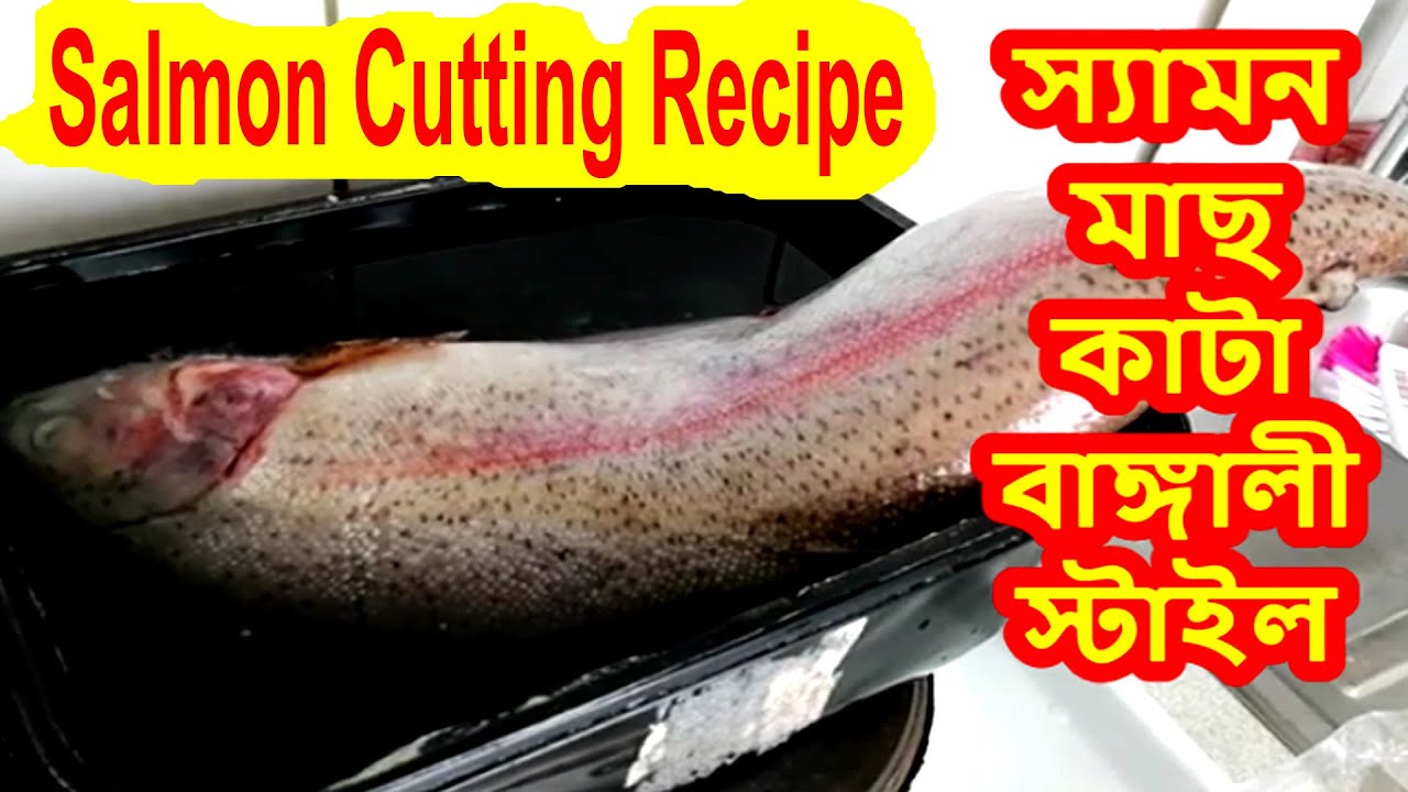 Salmon fish cutting bangla style স্যামন মাছ কাটা বাঙালি স্টাইলে