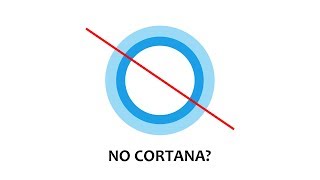 Totally Deleting The Cortana...