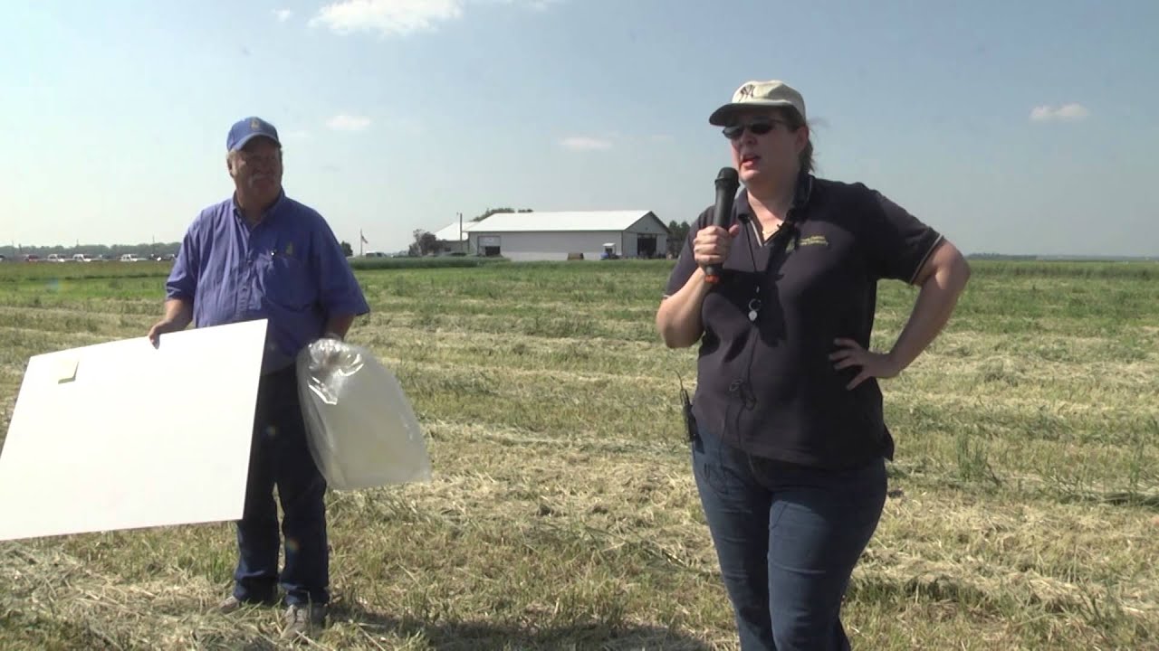 New and Emerging Soybean Insect Pests - Northeast Farm Tour